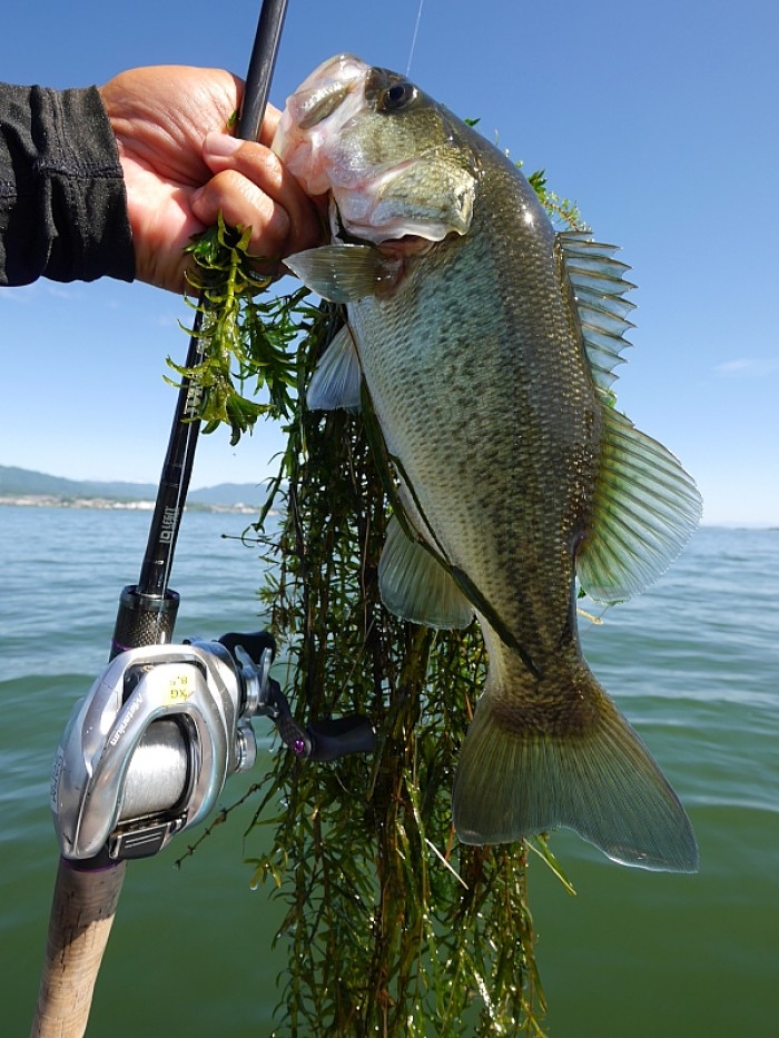 truth ブログ写真 2017/09/01