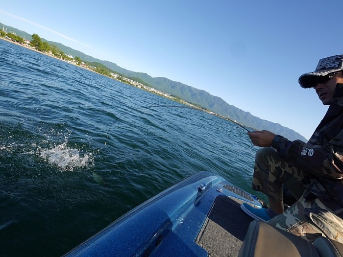 truth ブログ写真 2017/09/01