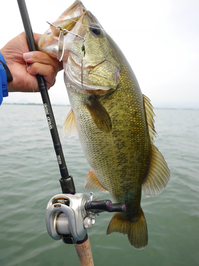 truth ブログ写真 2017/09/07