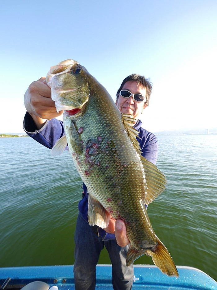 truth  ブログ写真 2017/09/08