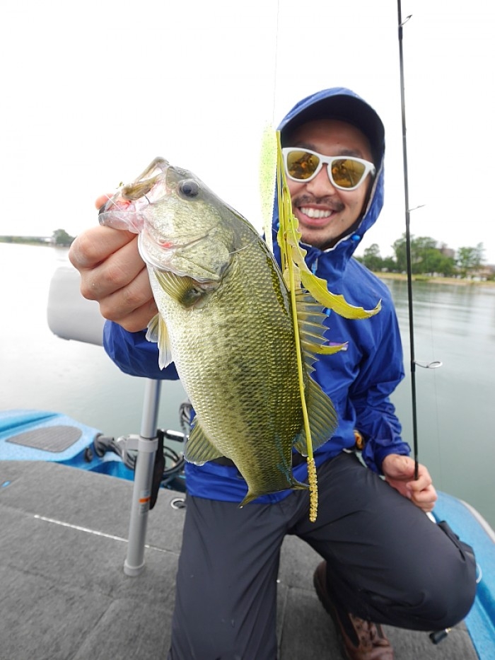 truth  ブログ写真 2017/09/12