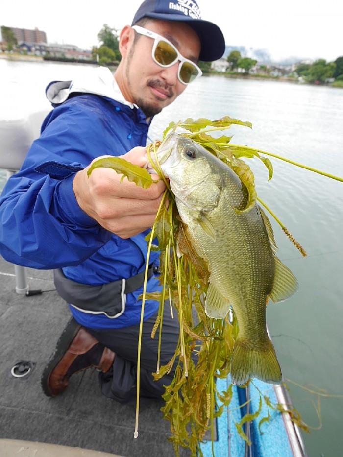 truth  ブログ写真 2017/09/12