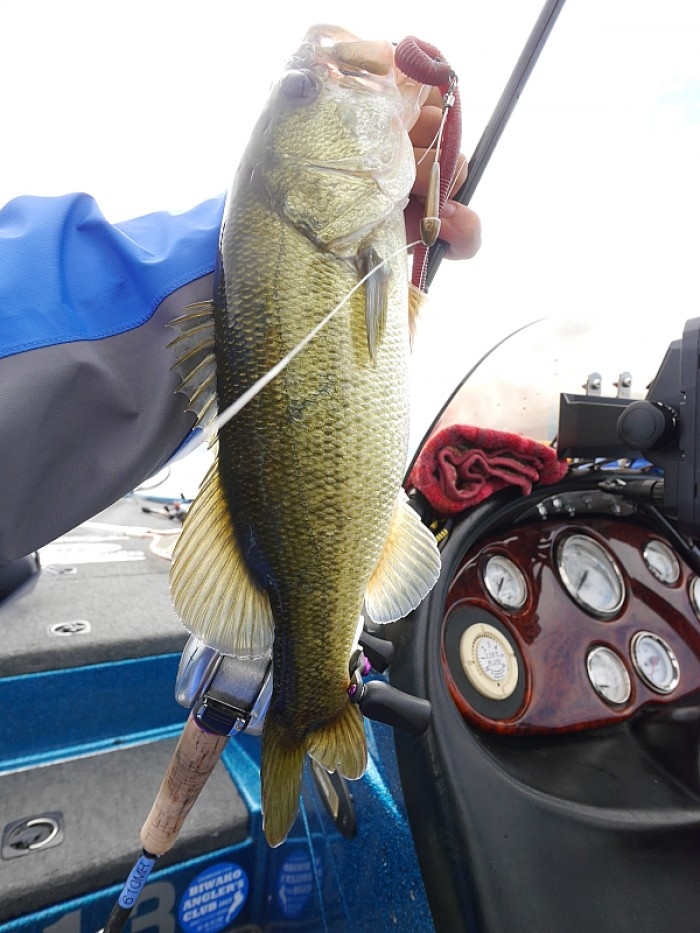 truth  ブログ写真 2017/09/12