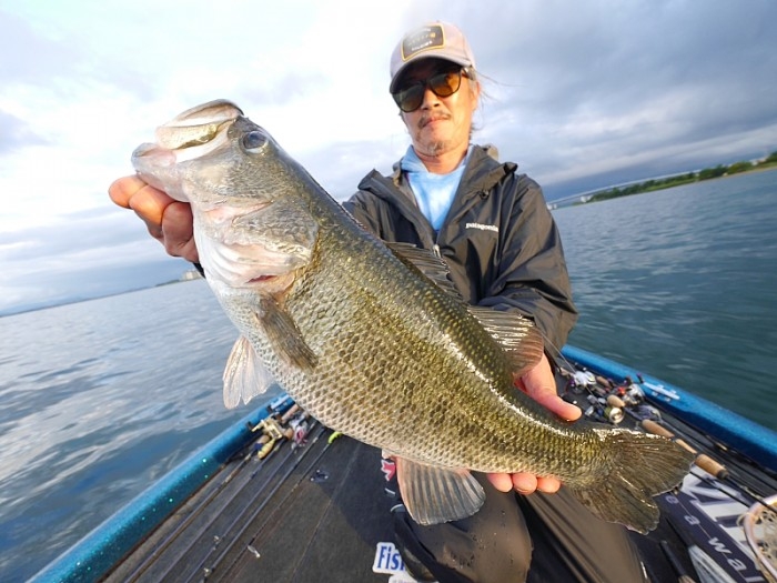 truth  ブログ写真 2017/09/12