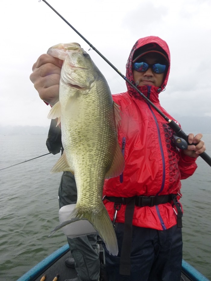 truth  ブログ写真 2017/09/16