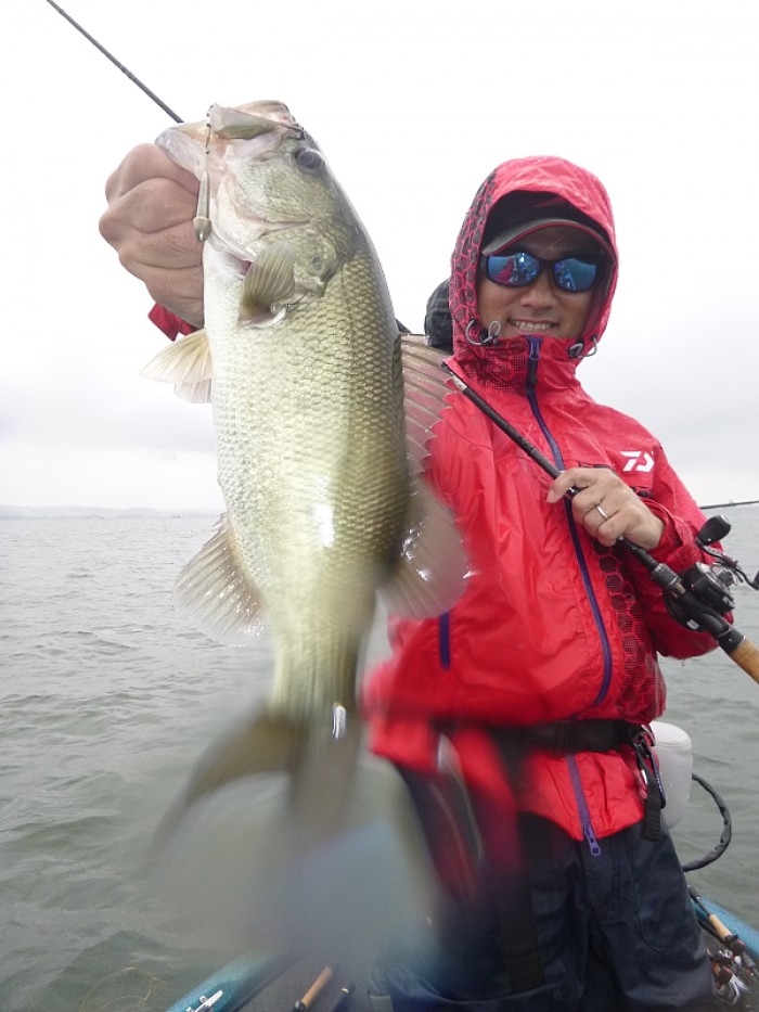 truth  ブログ写真 2017/09/16