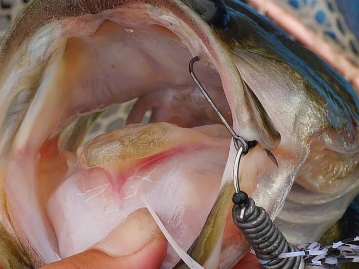 truth  ブログ写真 2017/09/20