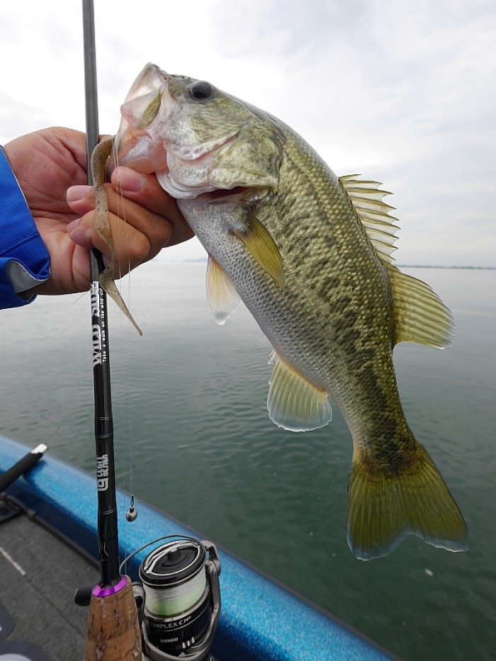 truth ブログ写真 2017/09/22