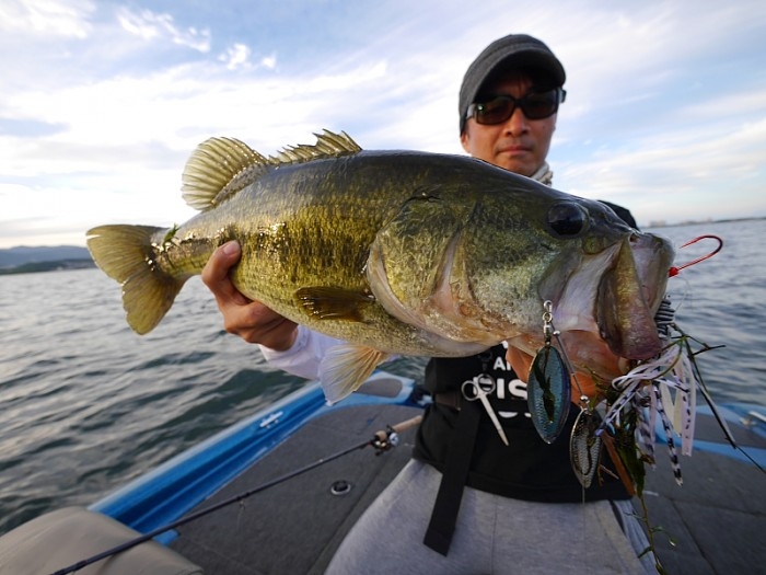 truth ブログ写真 2017/09/22