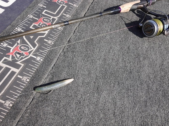 truth ブログ写真 2017/09/22