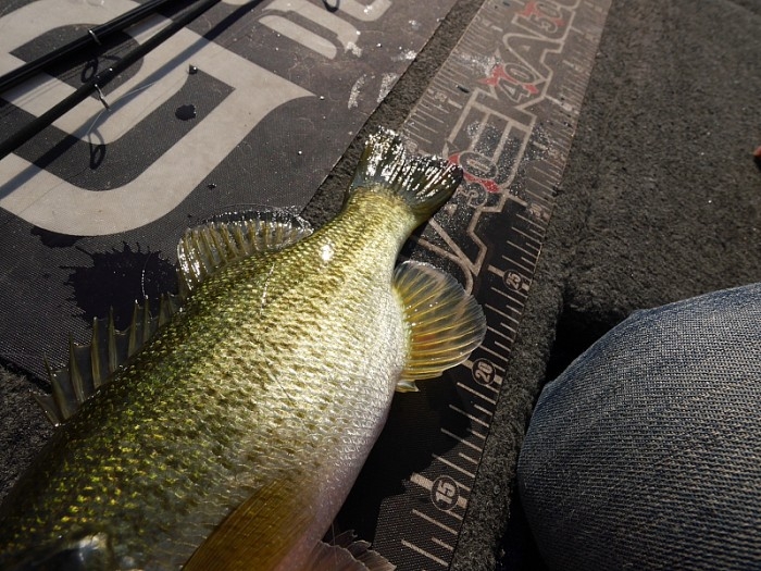 truth  ブログ写真 2017/09/24