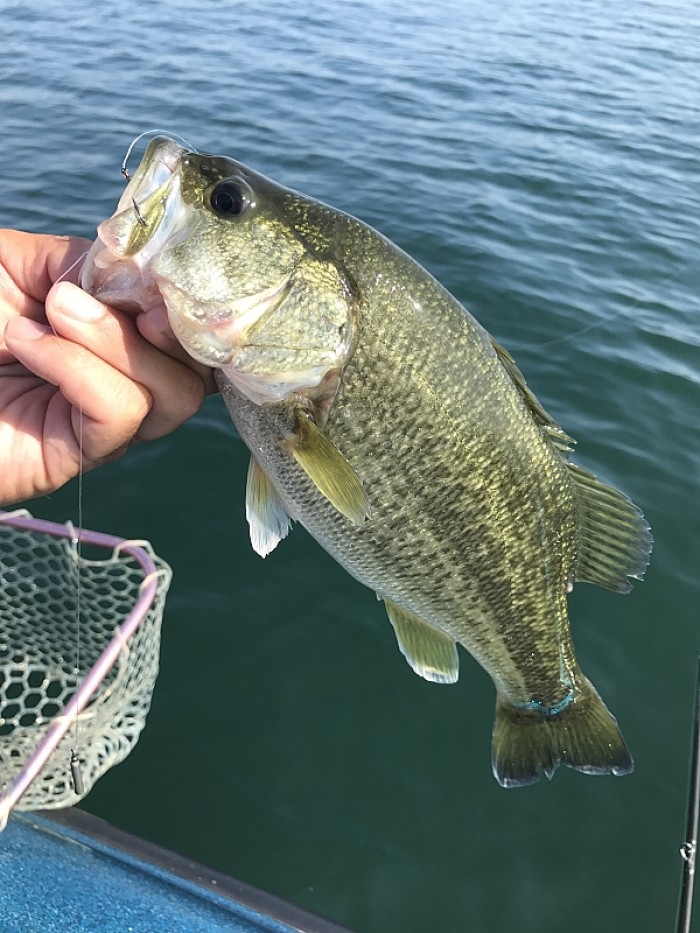 truth  ブログ写真 2017/09/26