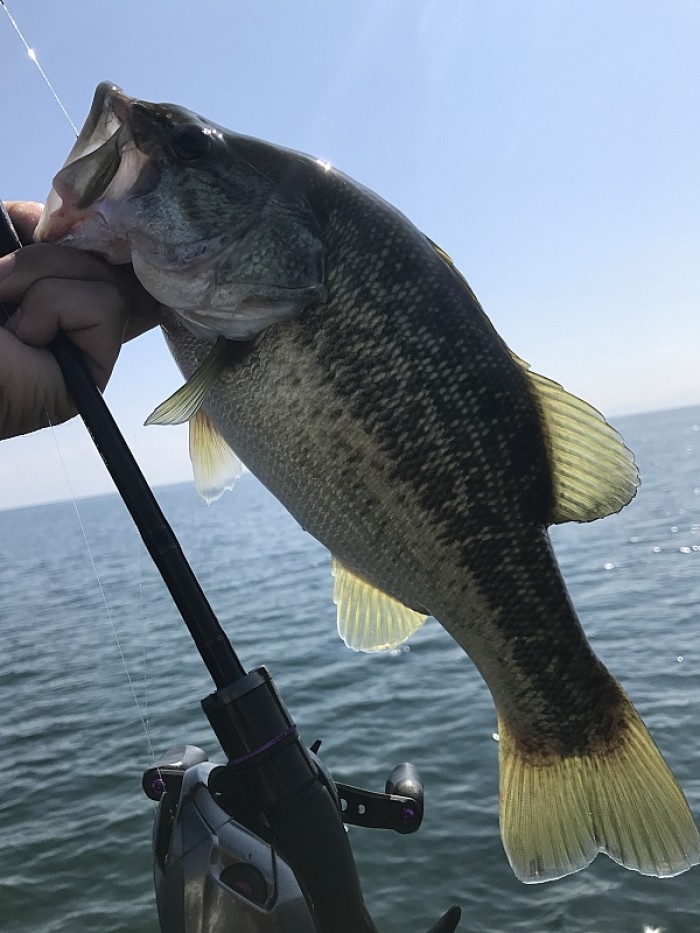 truth  ブログ写真 2017/09/26