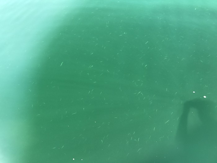 truth  ブログ写真 2017/09/26