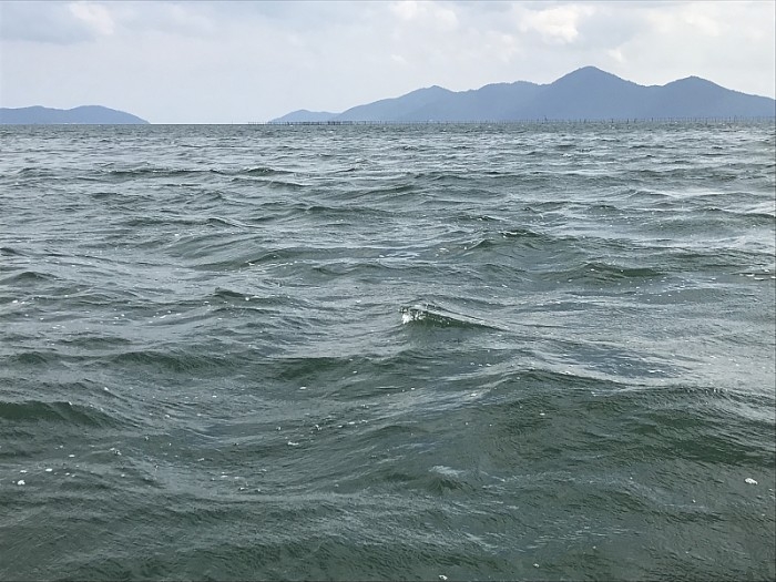 truth  ブログ写真 2017/09/27