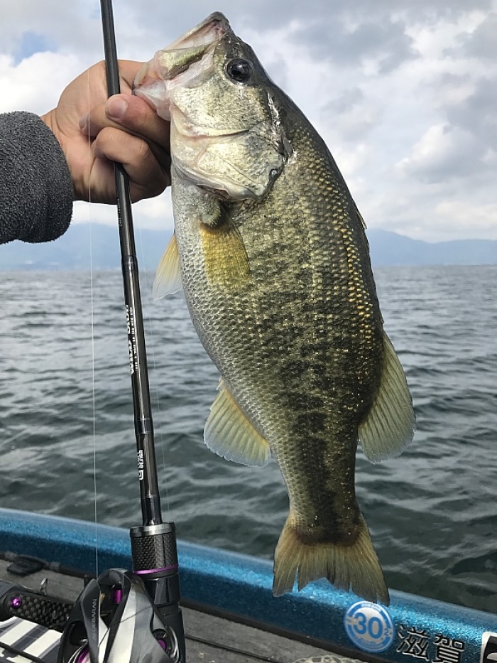 truth  ブログ写真 2017/09/27