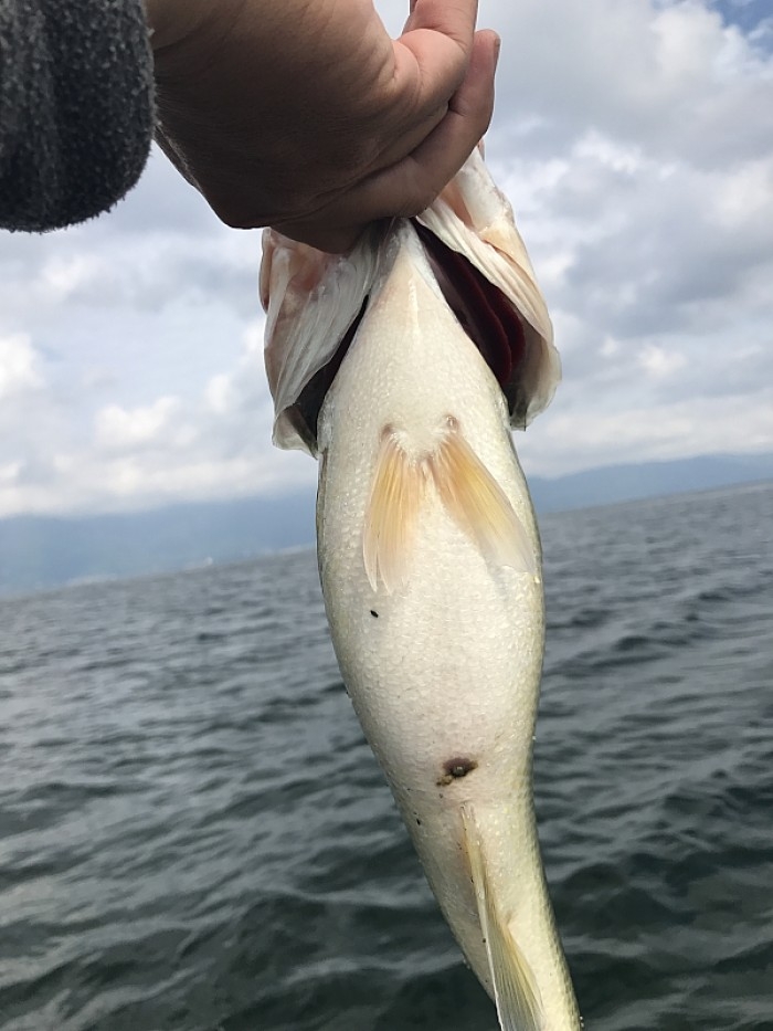 truth  ブログ写真 2017/09/27