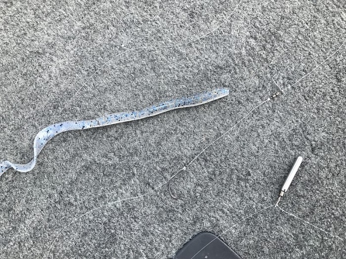 truth  ブログ写真 2017/09/27