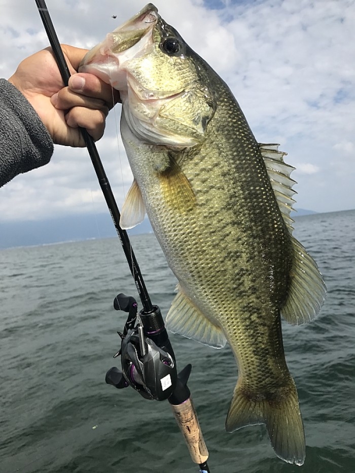 truth  ブログ写真 2017/09/27