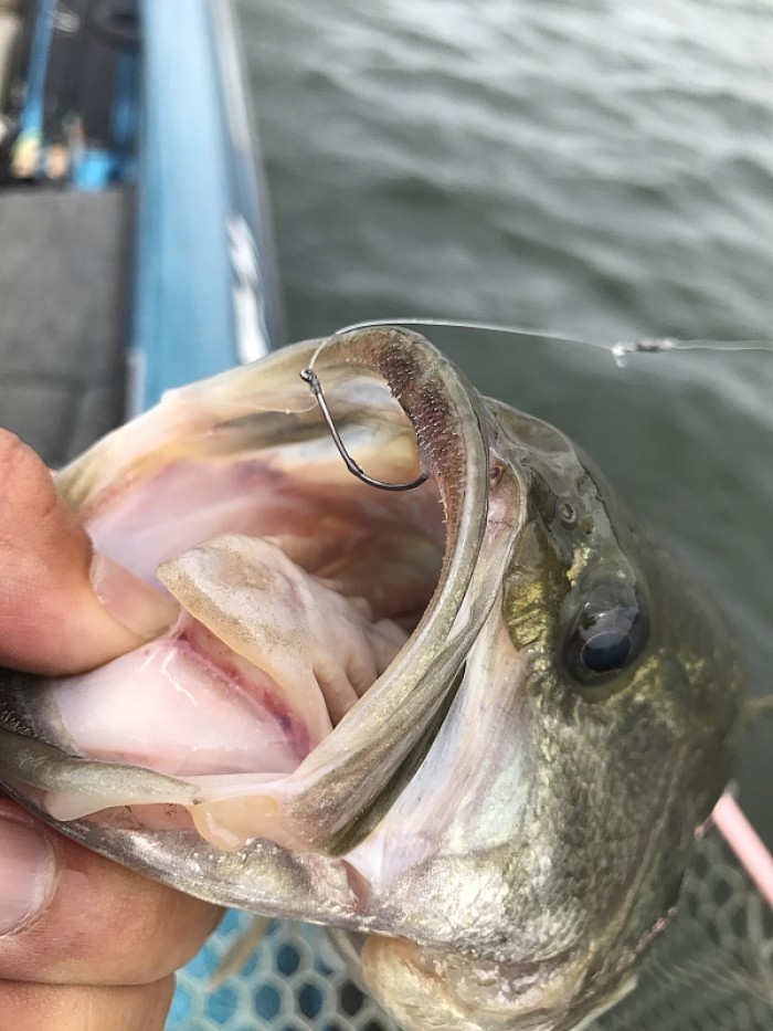 truth  ブログ写真 2017/09/27