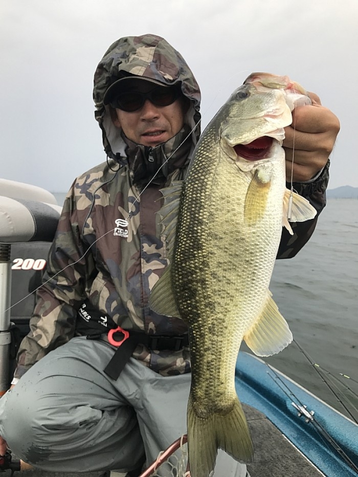 truth  ブログ写真 2017/09/27