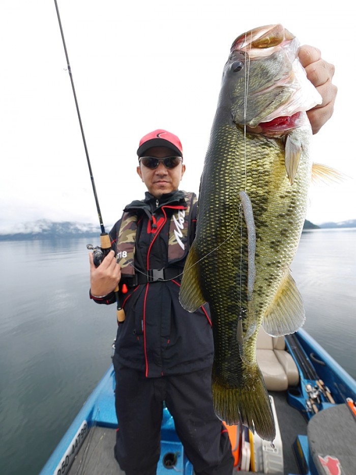 truth  ブログ写真 2017/10/03