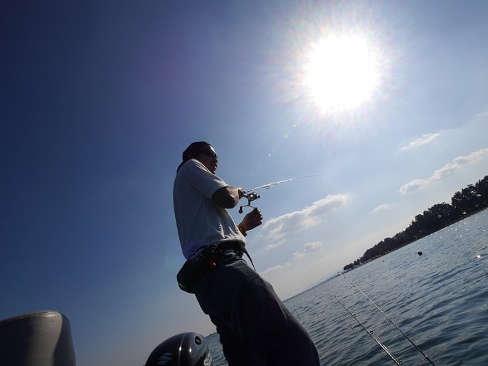 truth  ブログ写真 2017/10/11