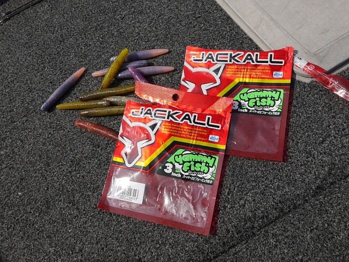 truth  ブログ写真 2017/10/12