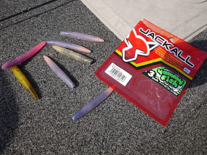 truth  ブログ写真 2017/10/12