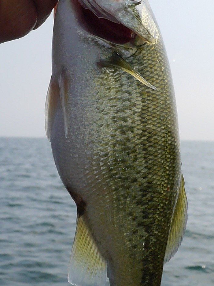 truth  ブログ写真 2017/10/12