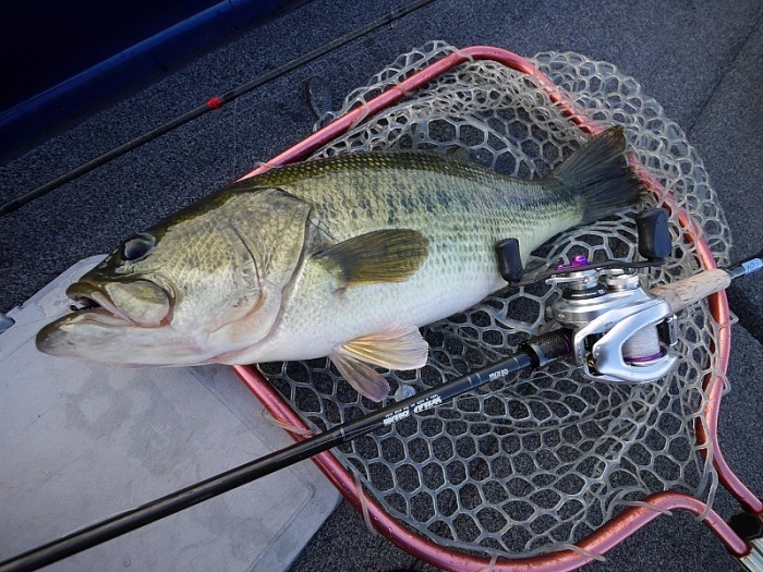 truth  ブログ写真 2017/10/12