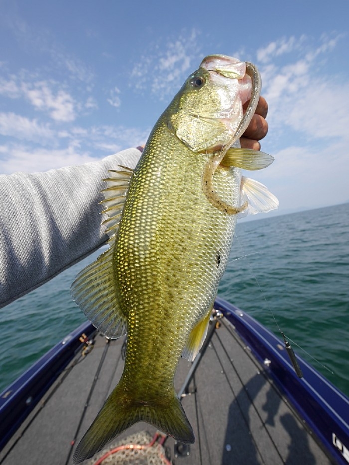 truth  ブログ写真 2017/10/12