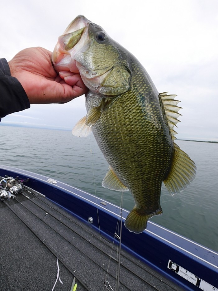 truth ブログ写真 2017/10/14