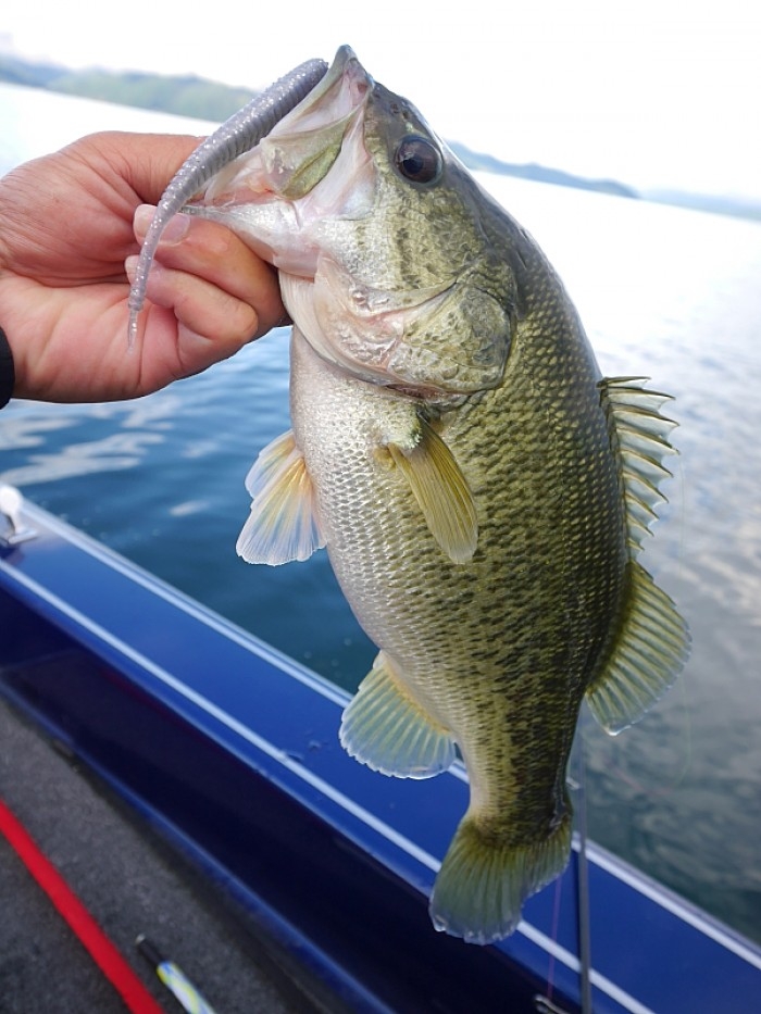 truth ブログ写真 2017/10/14