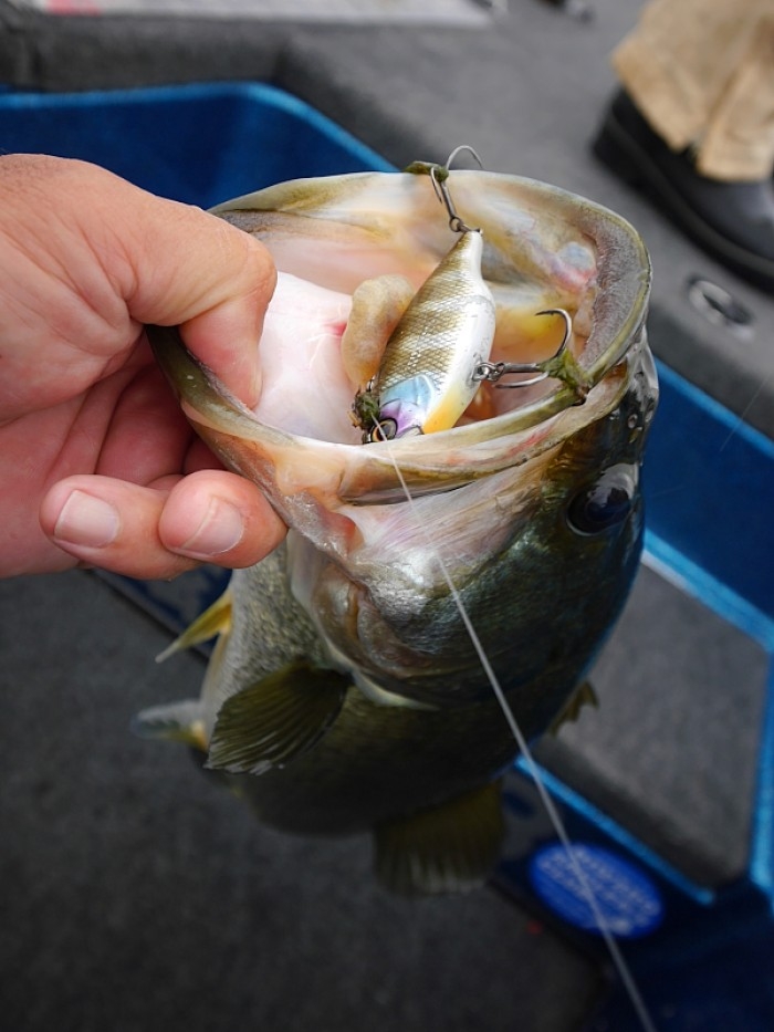 truth  ブログ写真 2017/10/18