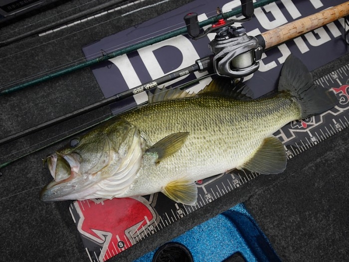 truth  ブログ写真 2017/10/18