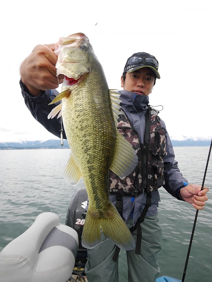 truth  ブログ写真 2017/10/19