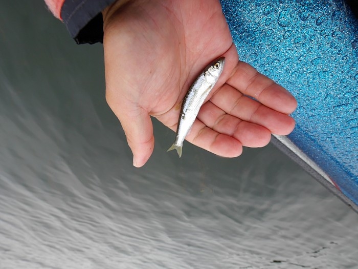 truth  ブログ写真 2017/10/19