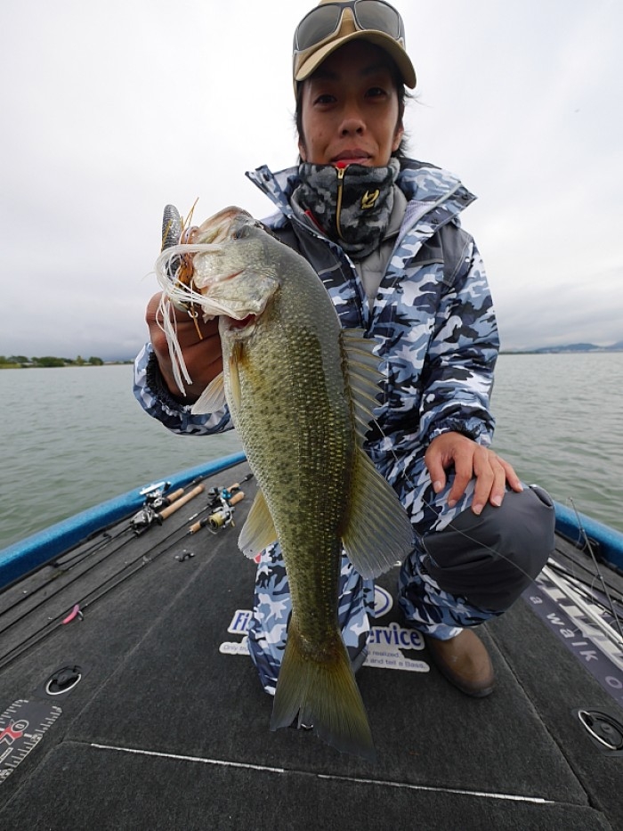 truth  ブログ写真 2017/10/19