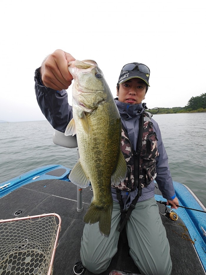 truth  ブログ写真 2017/10/19