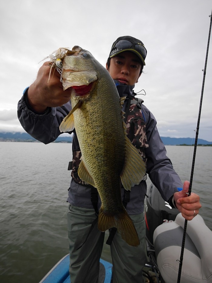 truth  ブログ写真 2017/10/19