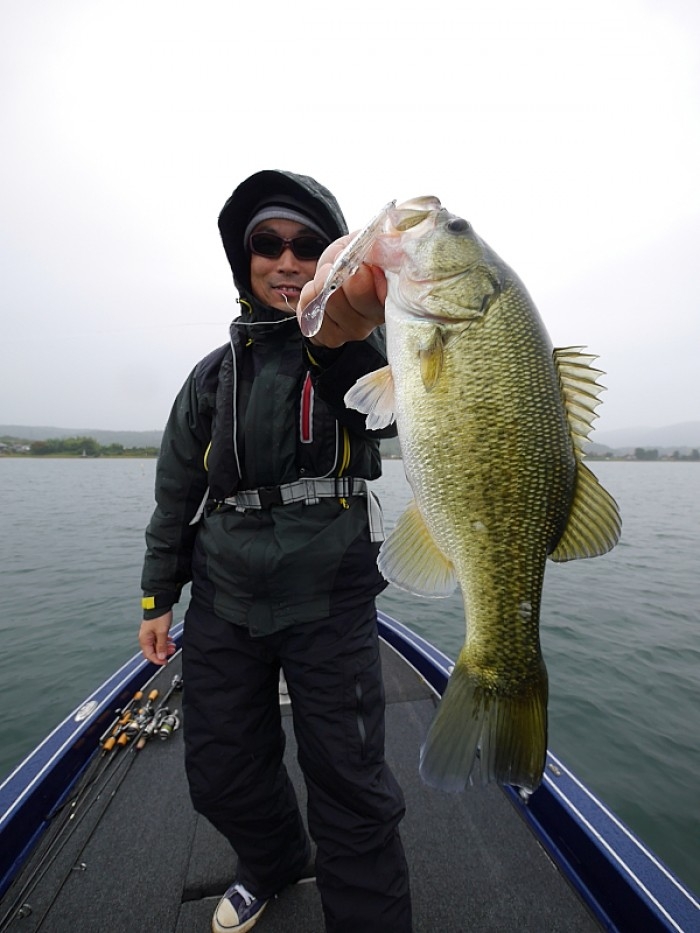 truth ブログ写真 2017/10/22