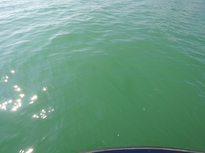 truth ブログ写真 2017/10/26