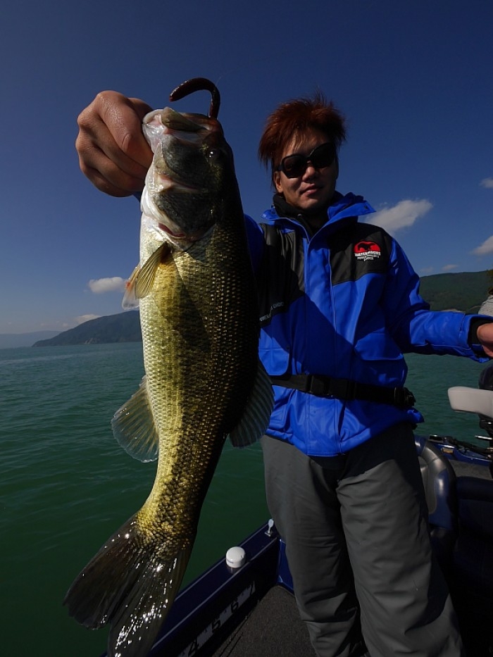 truth ブログ写真 2017/10/26