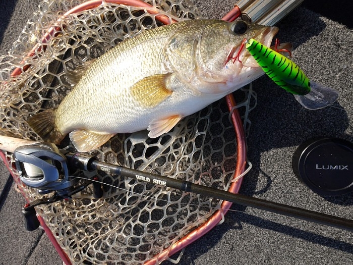 truth ブログ写真 2017/10/26