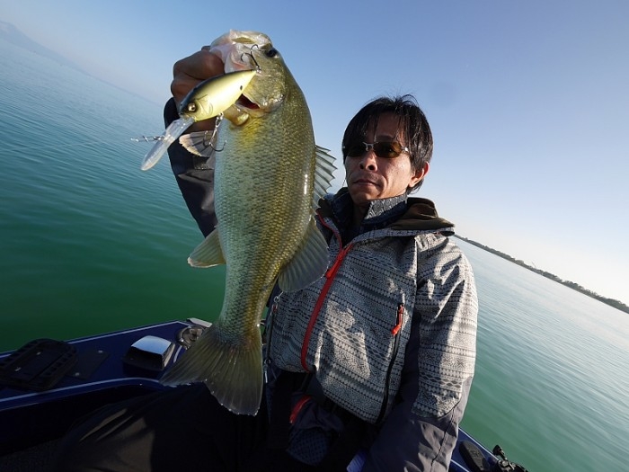 truth ブログ写真 2017/10/26