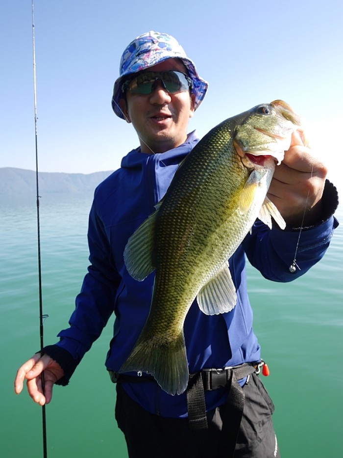 truth  ブログ写真 2017/11/06