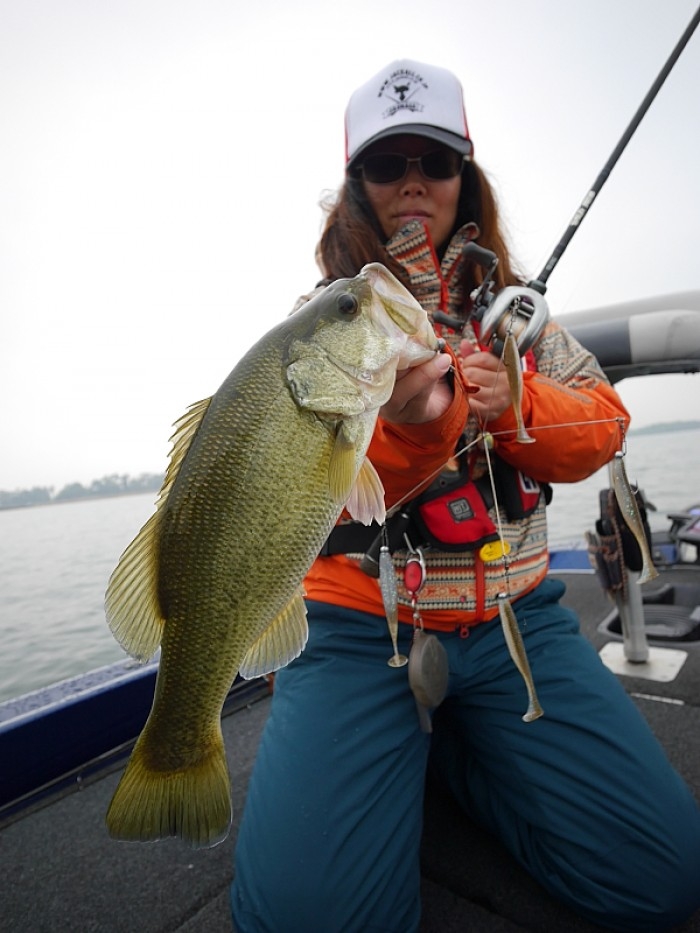 truth  ブログ写真 2017/11/08