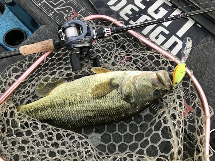 truth  ブログ写真 2017/11/09