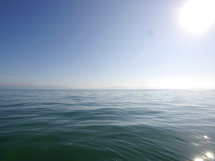 truth  ブログ写真 2017/11/10